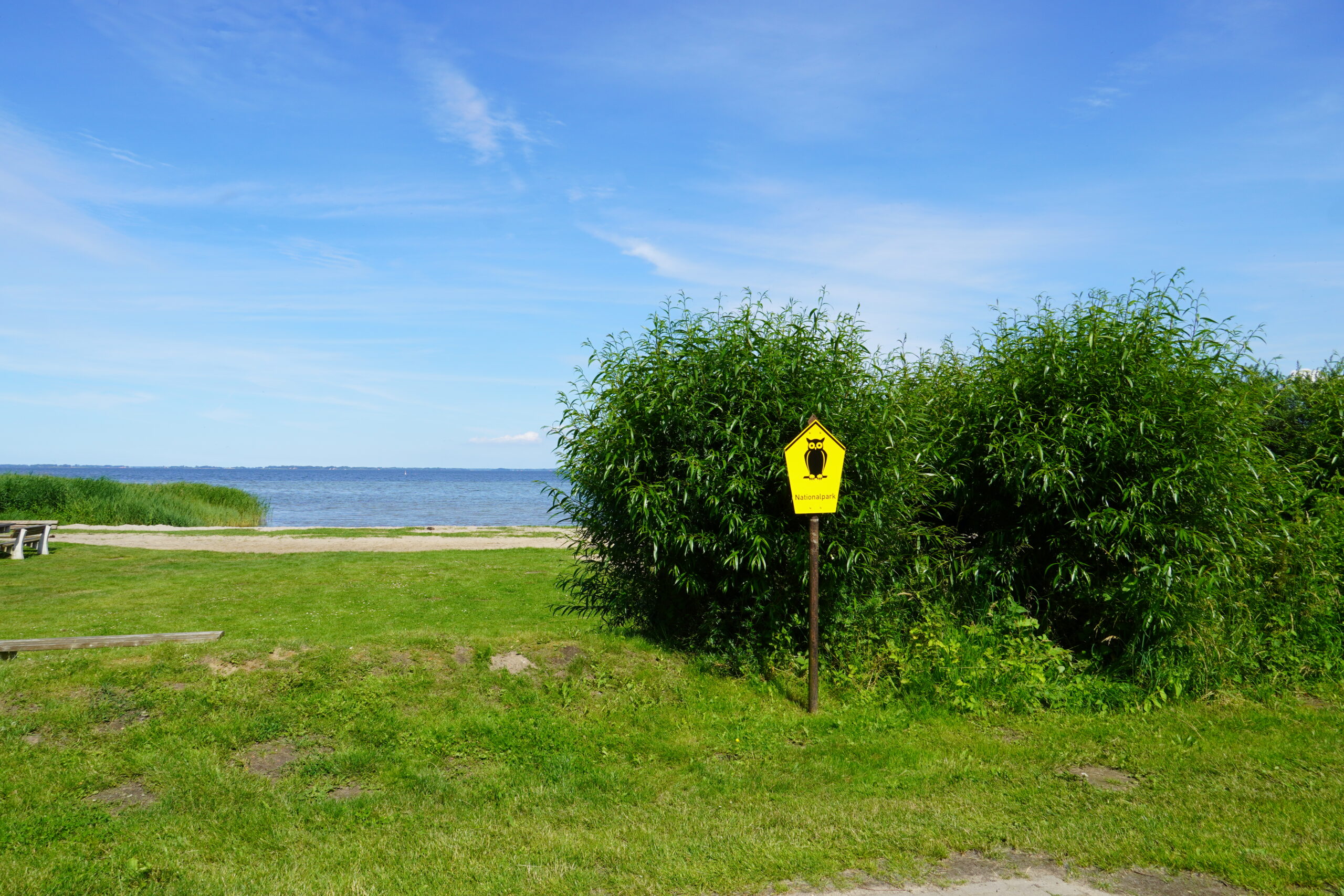 DSC09718